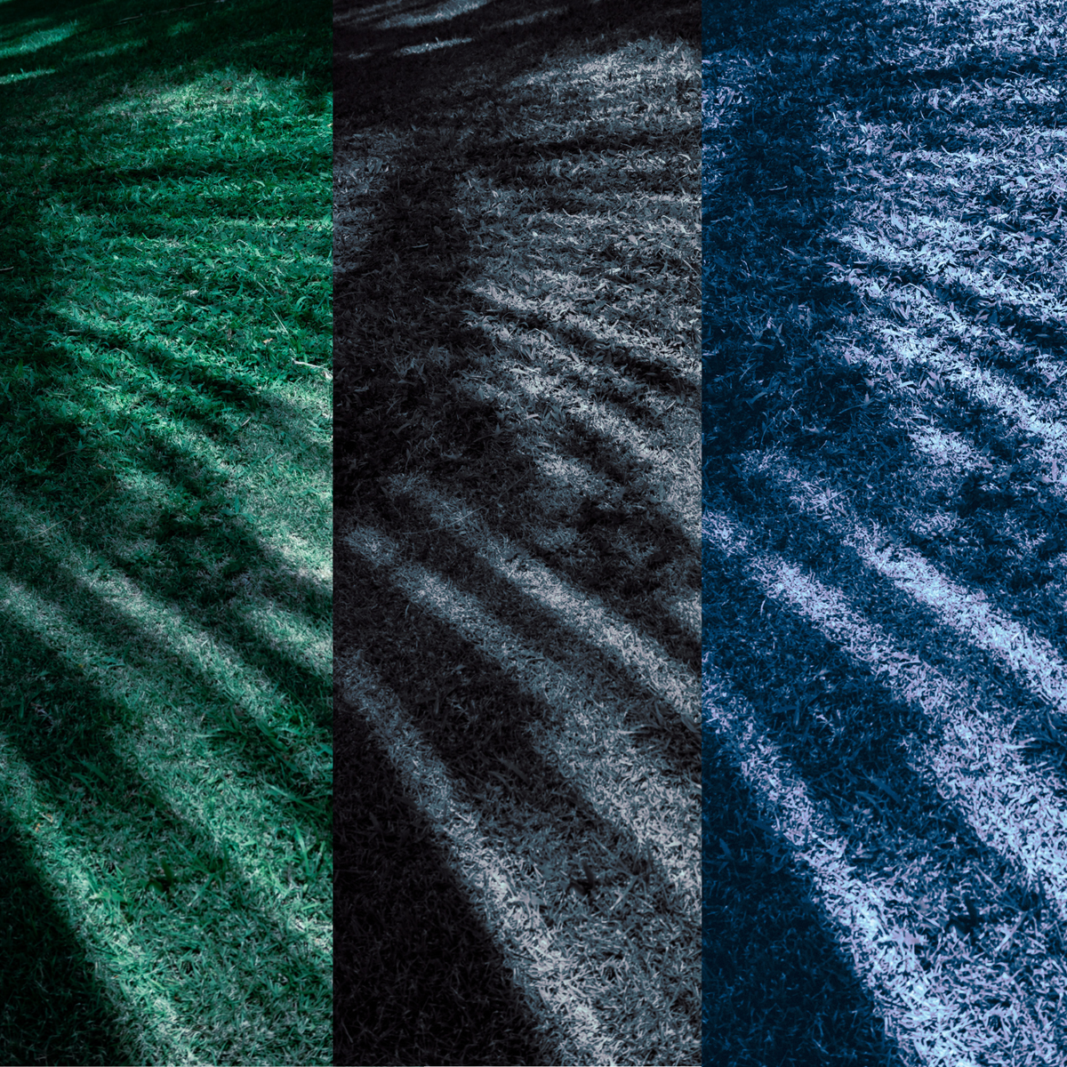 Three palm shadow phone wallpapers shown in emerald, charcoal, and indigo color tones