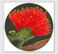 Hawaiʻi Floral Sticker Set – Botanical Trio | Watercolor Vinyl Bundle
