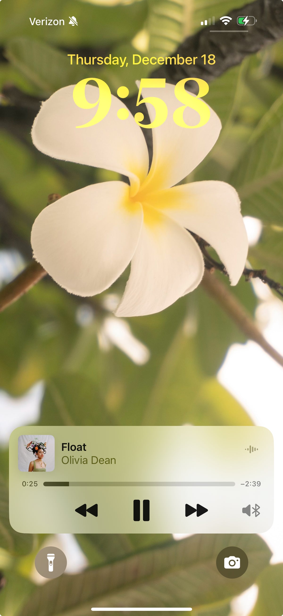 Mija Wallpaper Trio — Digital Download (Multiple SIzes)