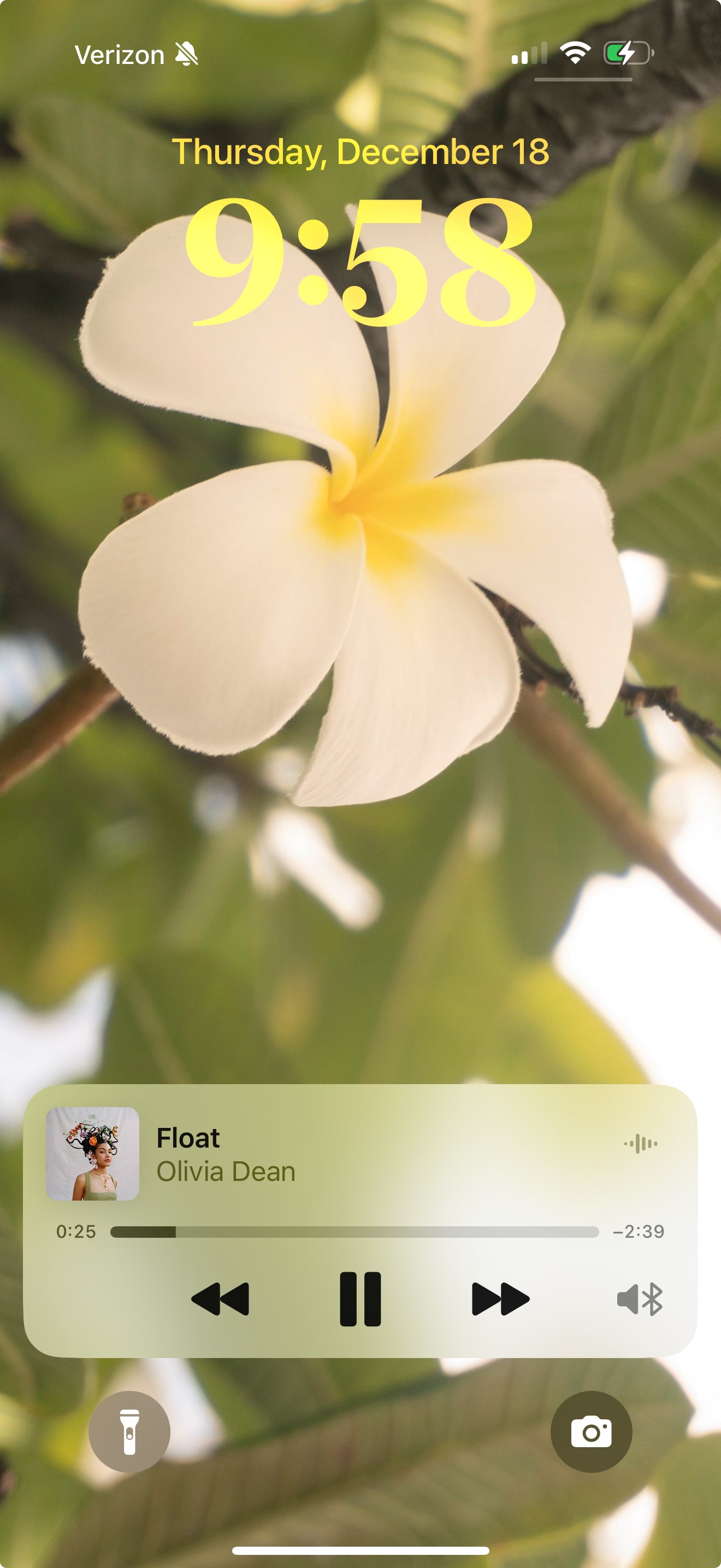 Mija Wallpaper Trio — Digital Download (Multiple SIzes)