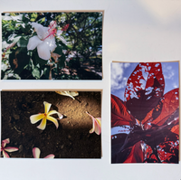 Limited Edition Nature Fine Art Print Set (4×6)