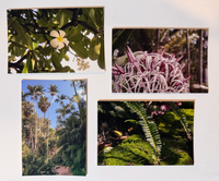 Inherited Wonder — 4×6 Fine Art Print Set (Limited Edition)