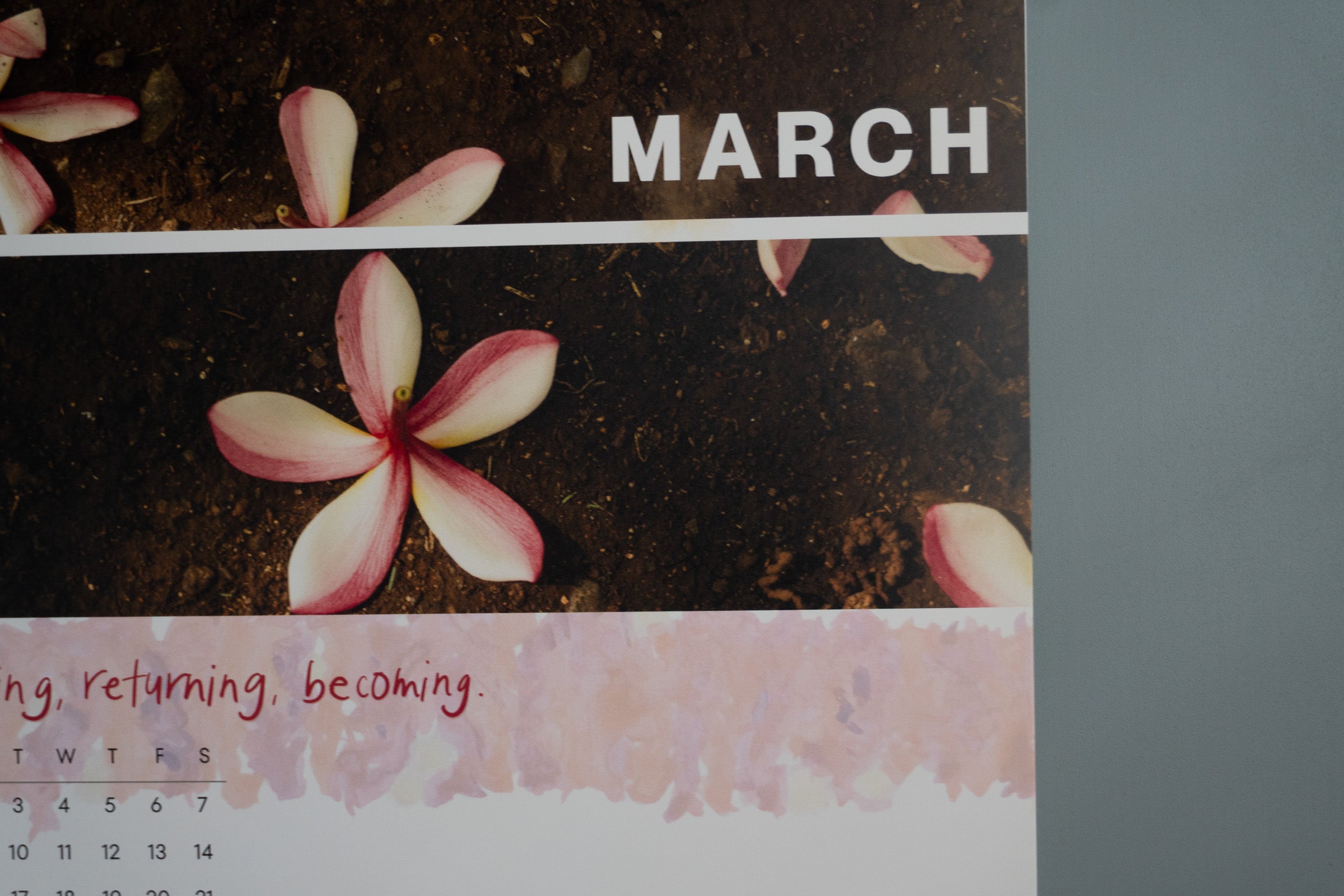 Joy + Light — 12-Month Wall Calendar