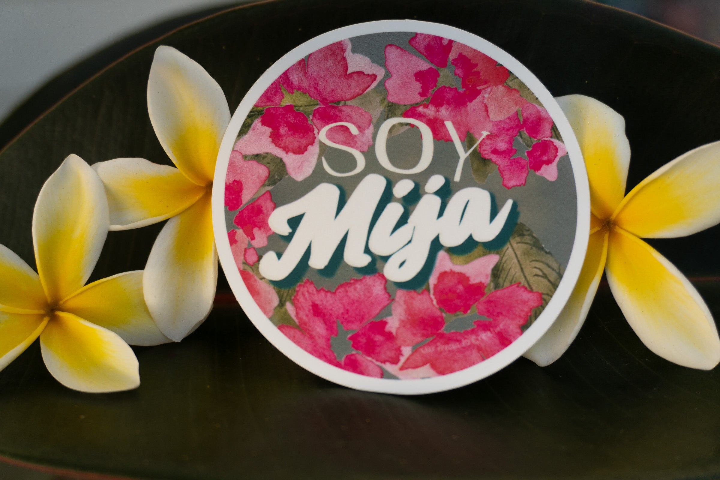 Soy Mija Vinyl Sticker – 3” Circle | Latina Heritage Art